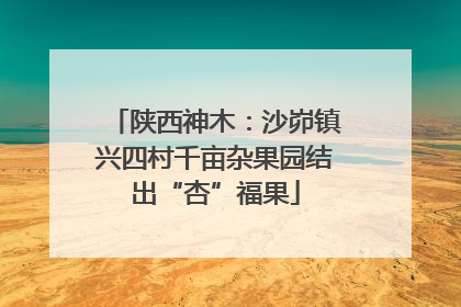 陕西神木：沙峁镇兴四村千亩杂果园结出“杏”福果