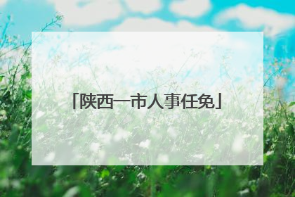 陕西一市人事任免