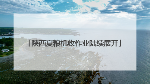 陕西夏粮机收作业陆续展开