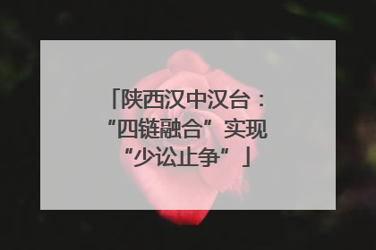 陕西汉中汉台：“四链融合”实现“少讼止争”