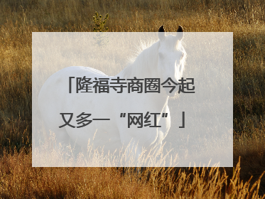 隆福寺商圈今起又多一“网红”