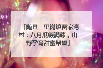 随县三里岗镇贾家湾村：八月瓜缀满藤，山野孕育甜蜜希望