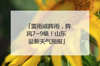 雷雨或阵雨，阵风7~9级！山东最新天气预报