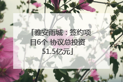 雅安雨城：签约项目6个 协议总投资51.5亿元