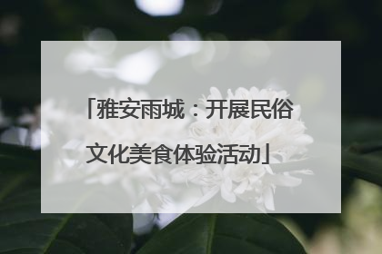 雅安雨城：开展民俗文化美食体验活动