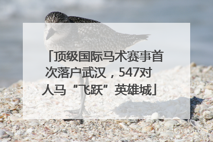 顶级国际马术赛事首次落户武汉，547对人马“飞跃”英雄城