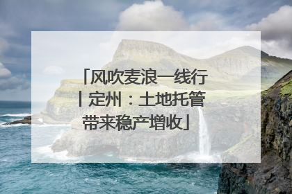 风吹麦浪一线行丨定州：土地托管带来稳产增收