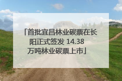 首批宜昌林业碳票在长阳正式签发 14.38万吨林业碳票上市