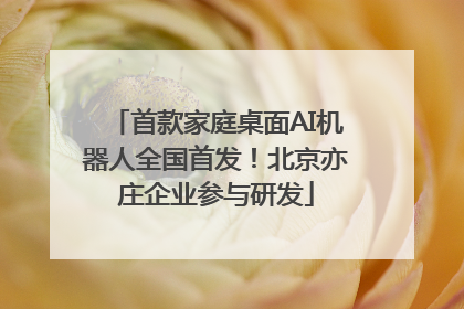 首款家庭桌面AI机器人全国首发！北京亦庄企业参与研发