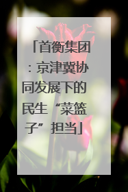 首衡集团：京津冀协同发展下的民生“菜篮子”担当