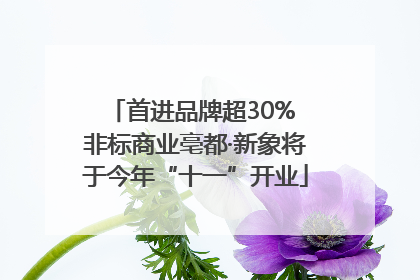 首进品牌超30% 非标商业亳都·新象将于今年“十一”开业