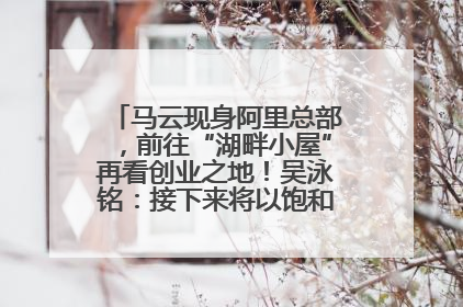 马云现身阿里总部，前往“湖畔小屋”再看创业之地！吴泳铭：接下来将以饱和式投入的打法，聚焦于几大核心战役