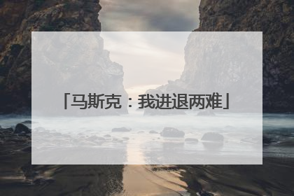 马斯克：我进退两难