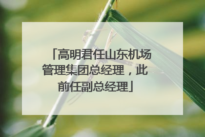 高明君任山东机场管理集团总经理，此前任副总经理