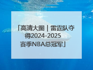高清大图｜雷霆队夺得2024-2025赛季NBA总冠军