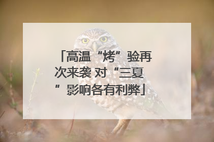 高温“烤”验再次来袭 对“三夏”影响各有利弊