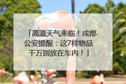 高温天气来临！成都公安提醒：这7样物品千万别放在车内！