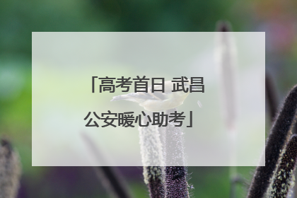 高考首日 武昌公安暖心助考