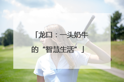 龙口：一头奶牛的“智慧生活”