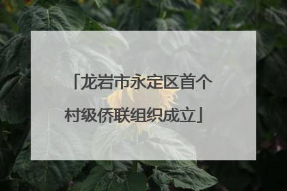 龙岩市永定区首个村级侨联组织成立