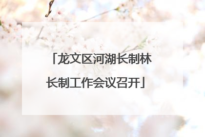 龙文区河湖长制林长制工作会议召开