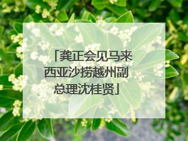 龚正会见马来西亚沙捞越州副总理沈桂贤