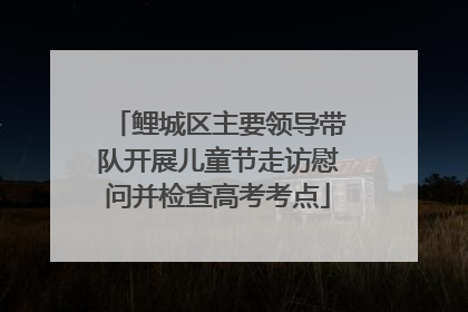 鲤城区主要领导带队开展儿童节走访慰问并检查高考考点