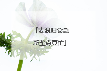 麦浪归仓急 新垄点豆忙