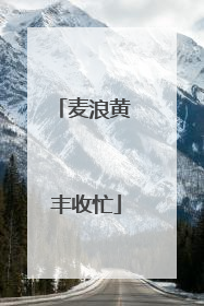 麦浪黄 丰收忙