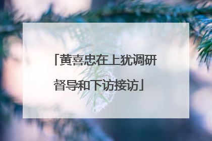 黄喜忠在上犹调研督导和下访接访