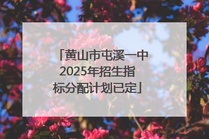 黄山市屯溪一中2025年招生指标分配计划已定