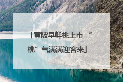 黄陂早鲜桃上市 “桃”气满满迎客来