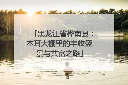 黑龙江省桦南县：木耳大棚里的丰收盛景与共富之路