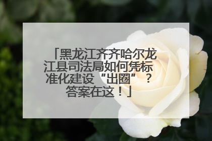 黑龙江齐齐哈尔龙江县司法局如何凭标准化建设“出圈”？答案在这！