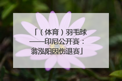 （体育）羽毛球——印尼公开赛：翁泓阳因伤退赛