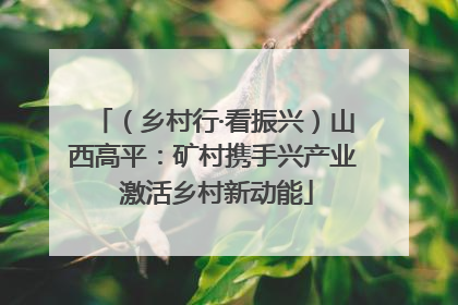 （乡村行·看振兴）山西高平：矿村携手兴产业 激活乡村新动能