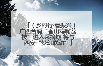 （乡村行·看振兴）广西合浦“香山鸡嘴荔枝”进入采摘期 将与西安“梦幻联动”
