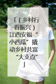 （乡村行·看振兴）江西安福“小西瓜”撬动乡村共富“大支点”