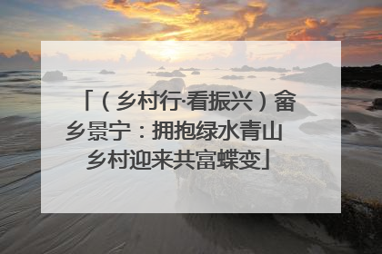 （乡村行·看振兴）畲乡景宁：拥抱绿水青山 乡村迎来共富蝶变