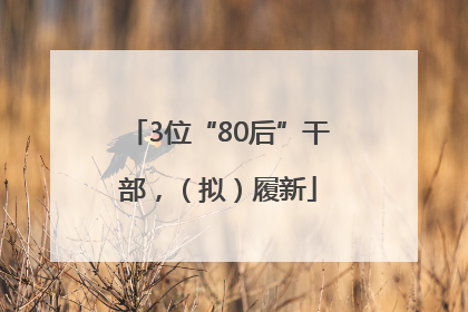 3位“80后”干部，（拟）履新