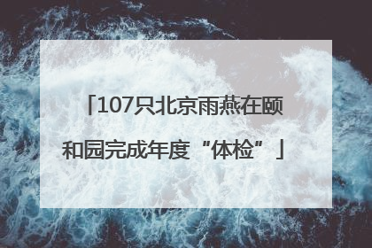107只北京雨燕在颐和园完成年度“体检”