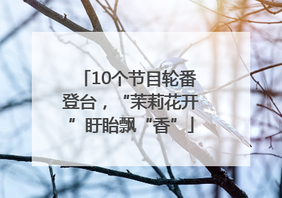10个节目轮番登台，“茉莉花开”盱眙飘“香”