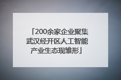 200余家企业聚集 武汉经开区人工智能产业生态现雏形