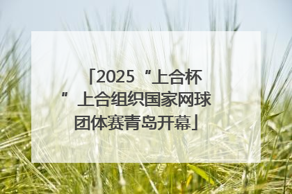2025“上合杯”上合组织国家网球团体赛青岛开幕