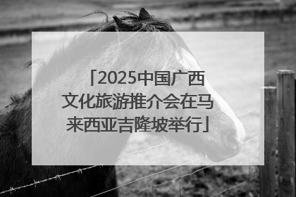 2025中国广西文化旅游推介会在马来西亚吉隆坡举行