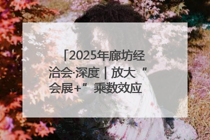 2025年廊坊经洽会·深度｜放大“会展+”乘数效应 打造消费新场景