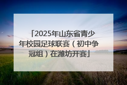 2025年山东省青少年校园足球联赛（初中争冠组）在潍坊开赛