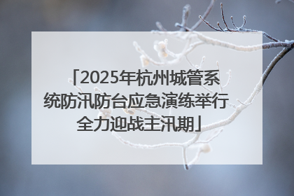 2025年杭州城管系统防汛防台应急演练举行 全力迎战主汛期