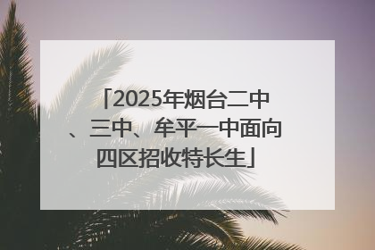 2025年烟台二中、三中、牟平一中面向四区招收特长生