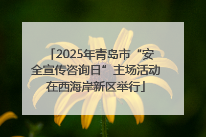 2025年青岛市“安全宣传咨询日”主场活动在西海岸新区举行
